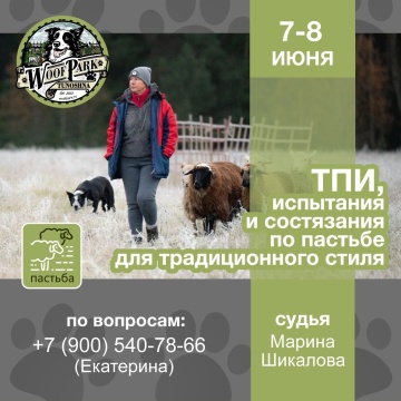 ТПИ, испытания и состязания по пастьбе для традиционного стиля