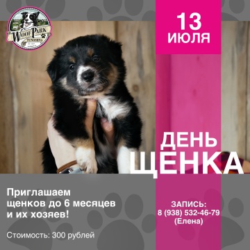 День щенка в WoofPark