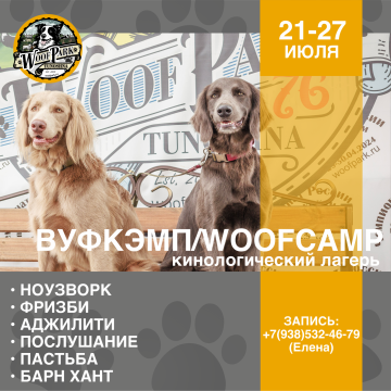 ВуфКэмп/WoofCamp