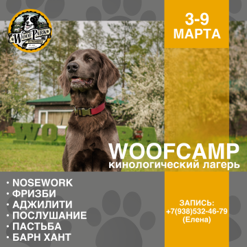 WoofCamp