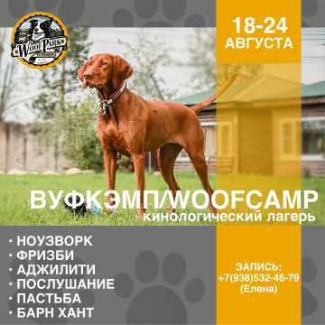 ВуфКэмп/WoofCamp