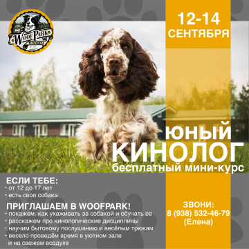 Юный кинолог