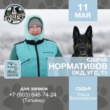 Сдача нормативов ОКД, УГС, Т1