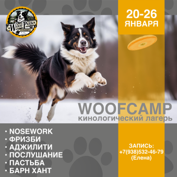 WoofCamp