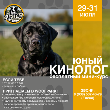 Юный кинолог