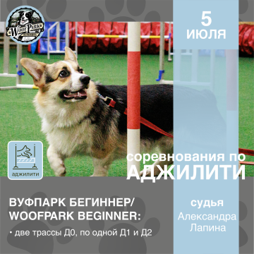 Соревнования по аджилити "ВуфПарк Бегиннер/WoofPark Beginner"