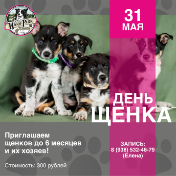 День щенка в WoofPark
