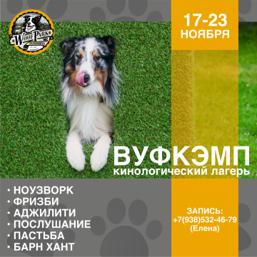 ВуфКэмп/WoofCamp