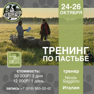 Супер-тренинг по пастьбе