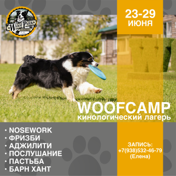 WoofCamp