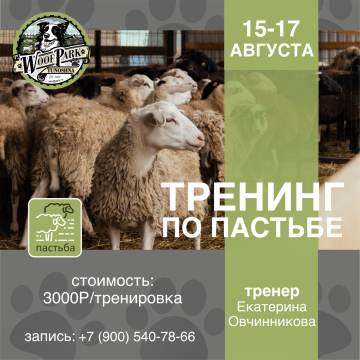 Тренинг по пастьбе