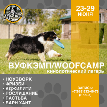 ВуфКэмп/WoofCamp