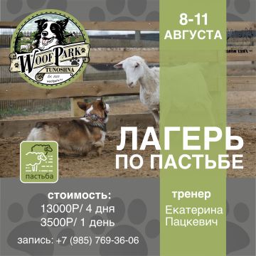Лагерь по пастьбе