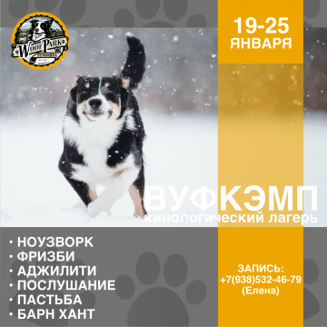 ВуфКэмп/WoofCamp