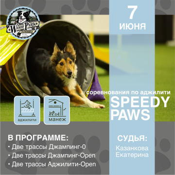 Cоревнования по аджилити «Speedy Paws»