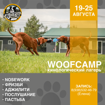 WoofCamp