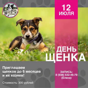 День щенка в WoofPark
